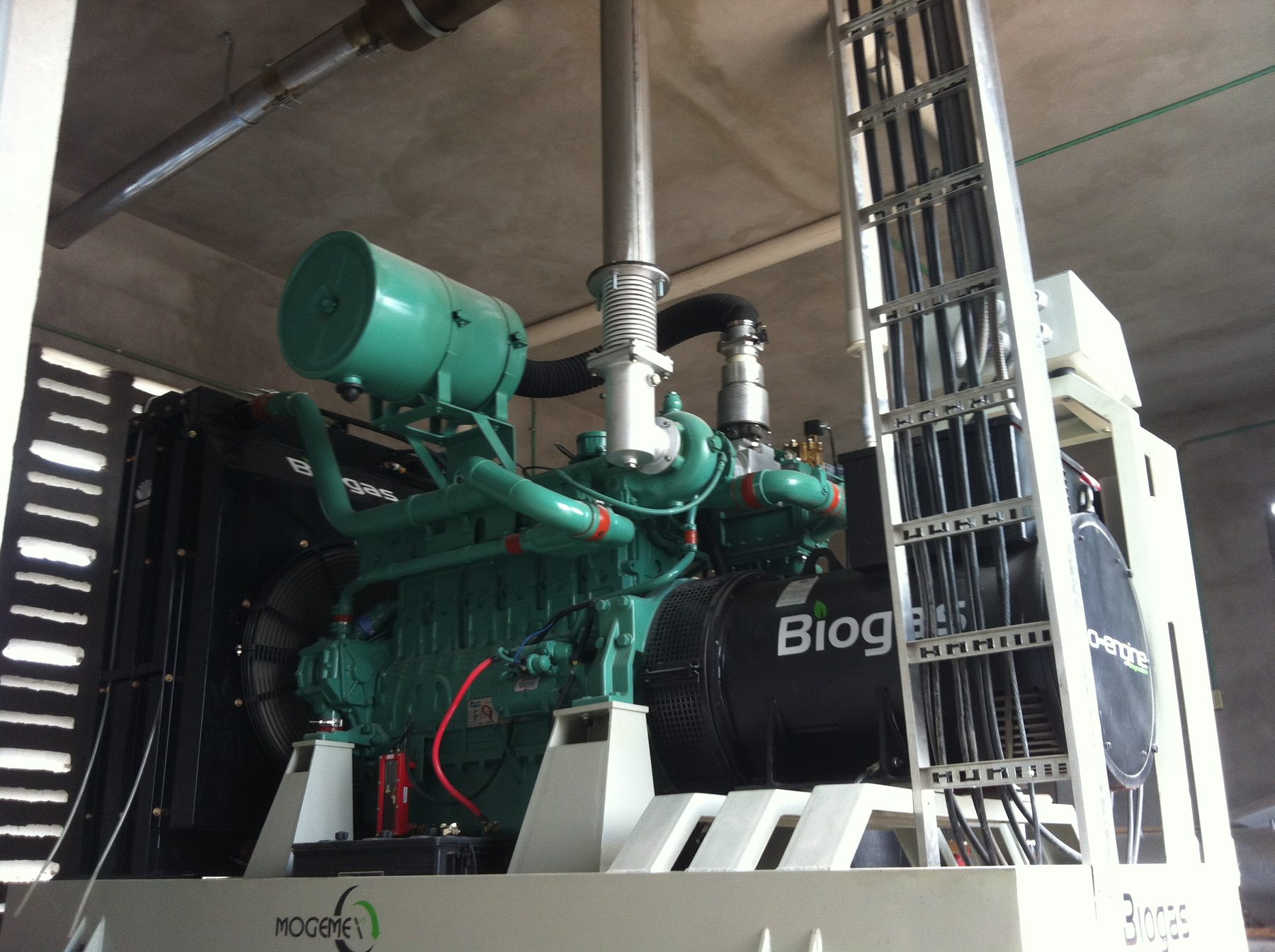 Bioengine