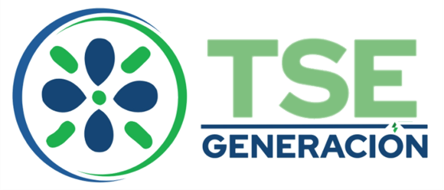 TSE Generación