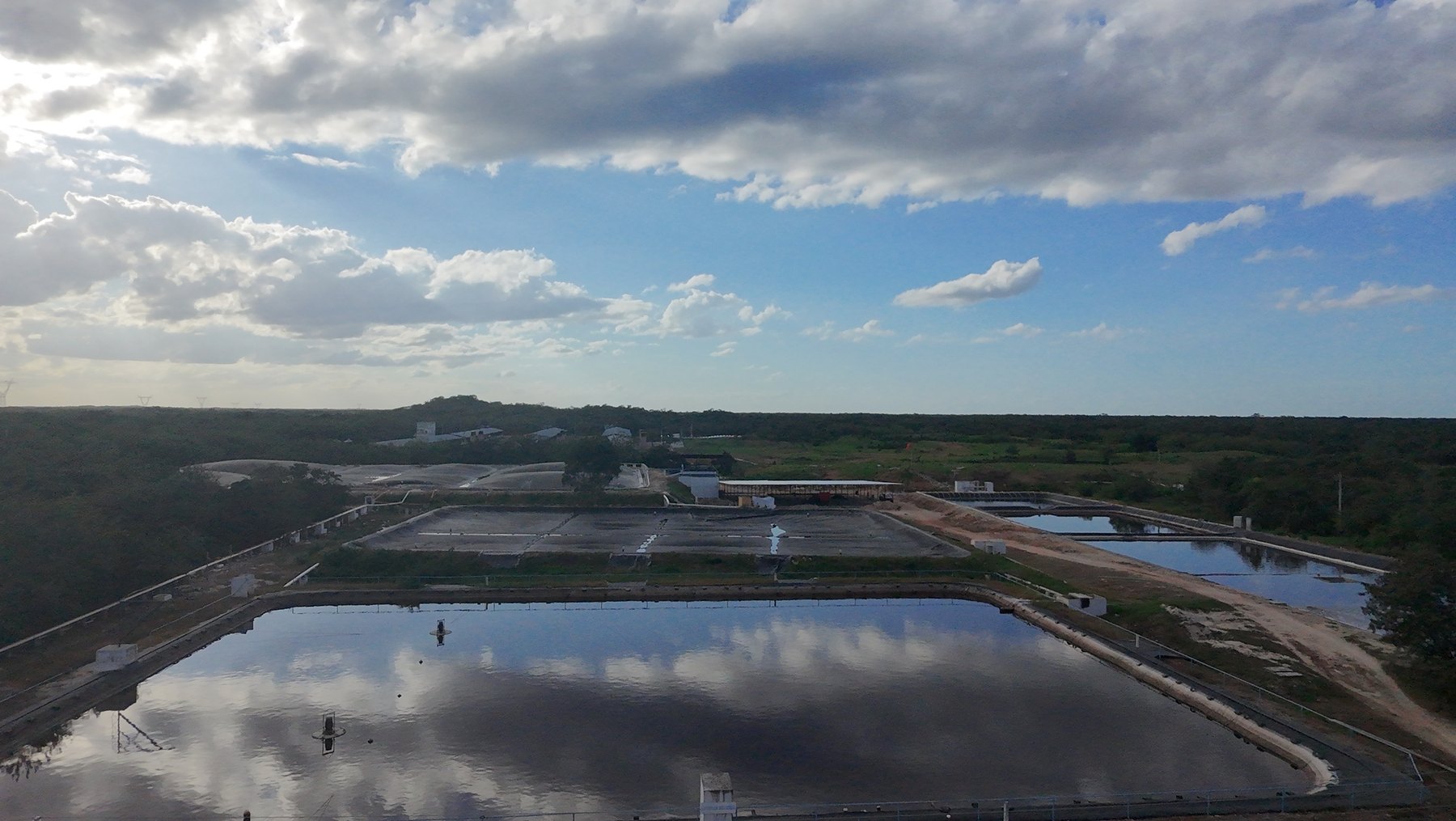 Vista aérea de las lagunas cubiertas de la planta de Kantunil, Yucatán